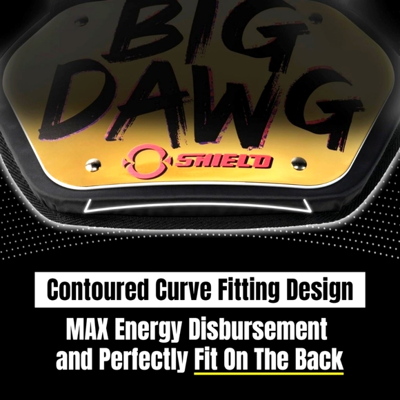 O Shield Big DAWG Golden Chrome Football Back Plate - Youth (max. 180 pounds) - Picture 6 of 6